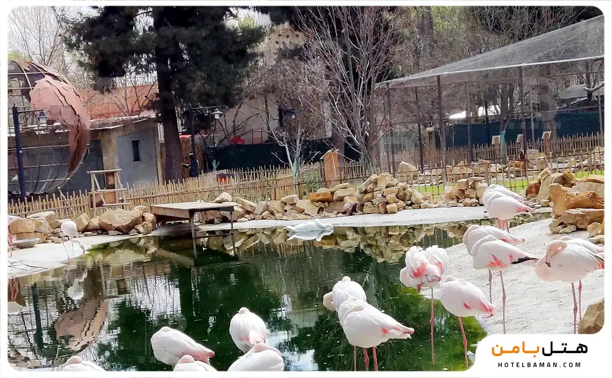 تصویر باغ پرندگان مشهد