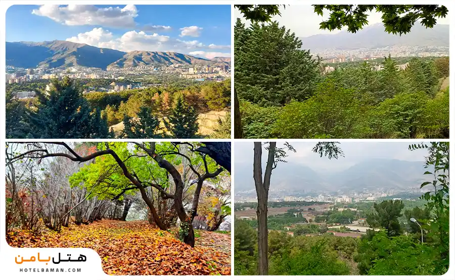 تصویربوستان جنگلی شیان تهران
