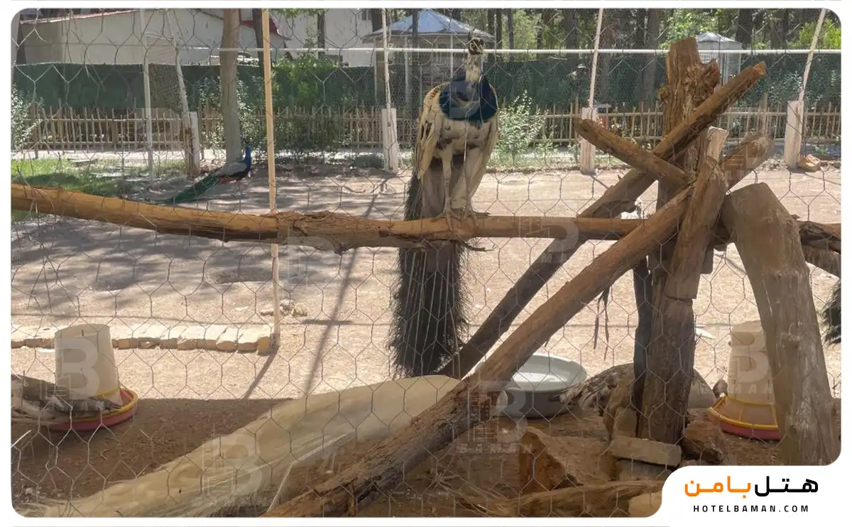 تصویر باغ پرندگان مشهد