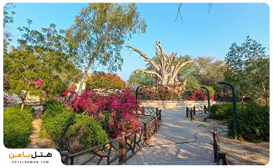 فضای داخلی درخت سبز کیش