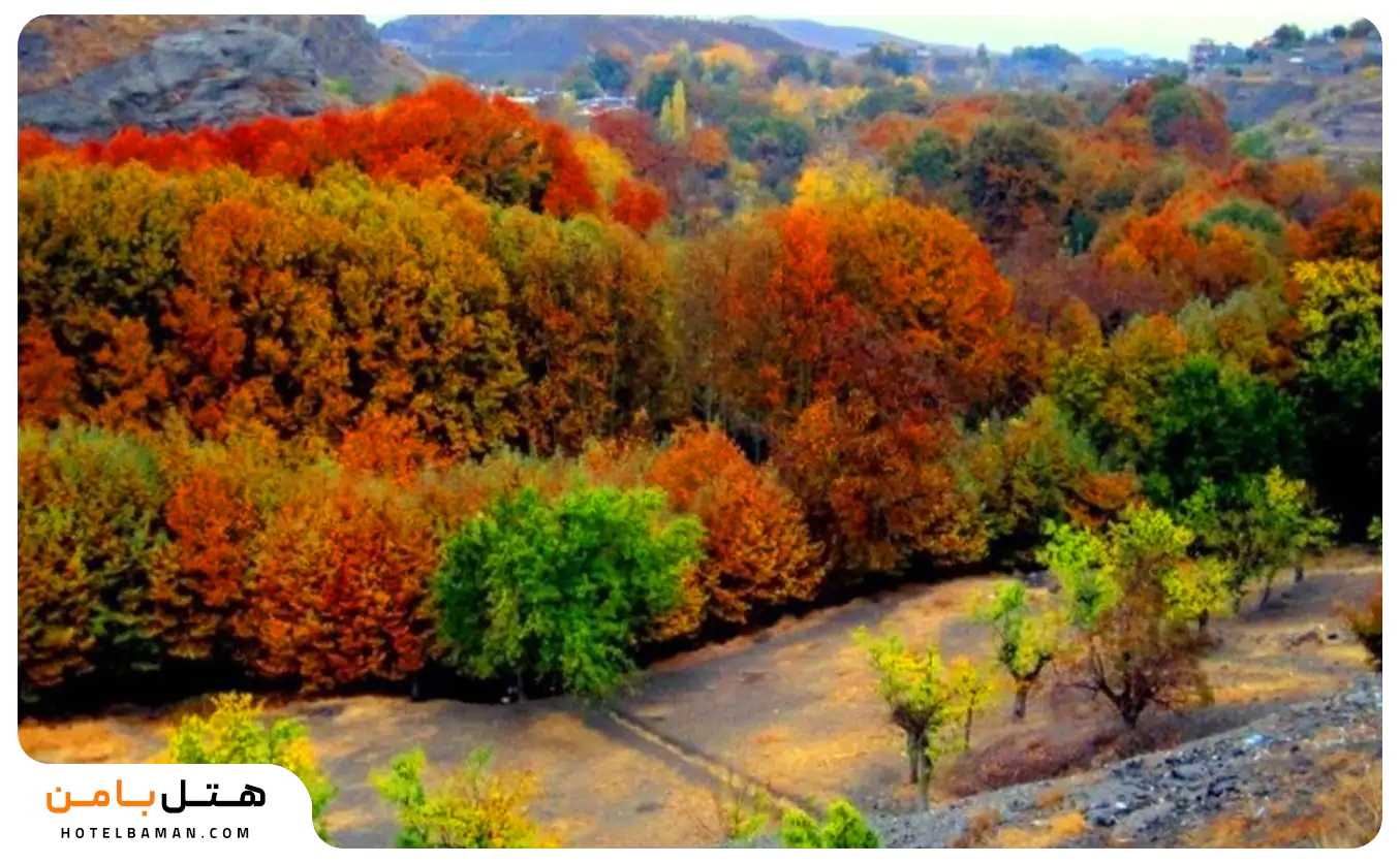 جاهای دیدنی نغندر