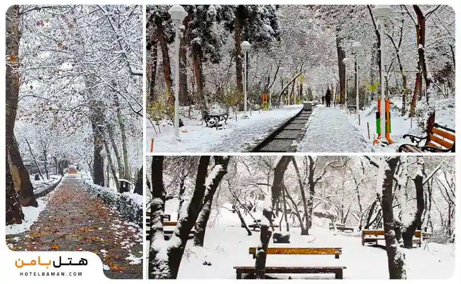تصویر وکیل ابد مشهد در زمستان
