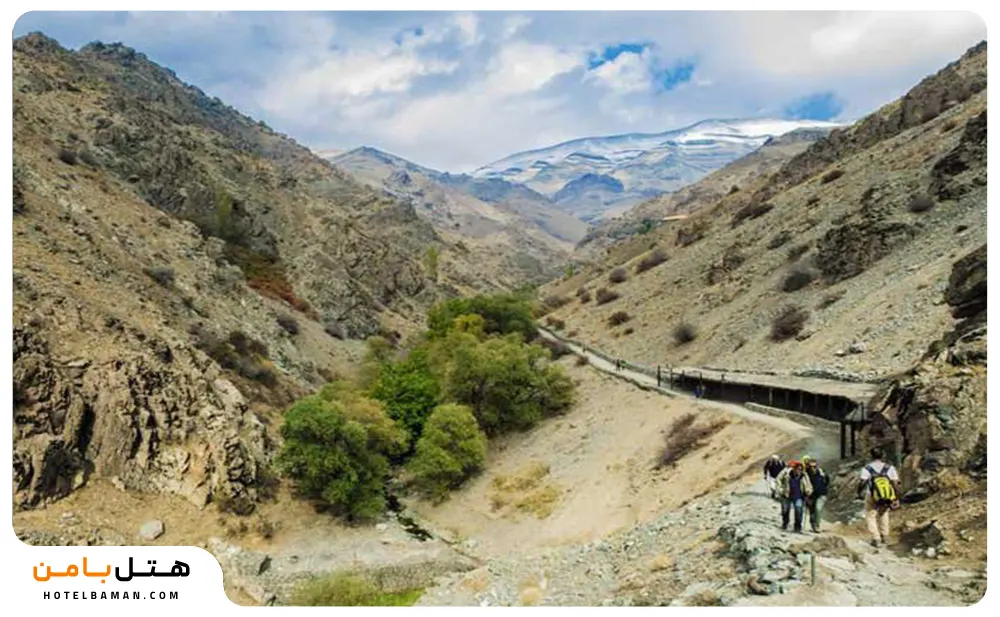 تصویر پلنگ چال درکه تهران