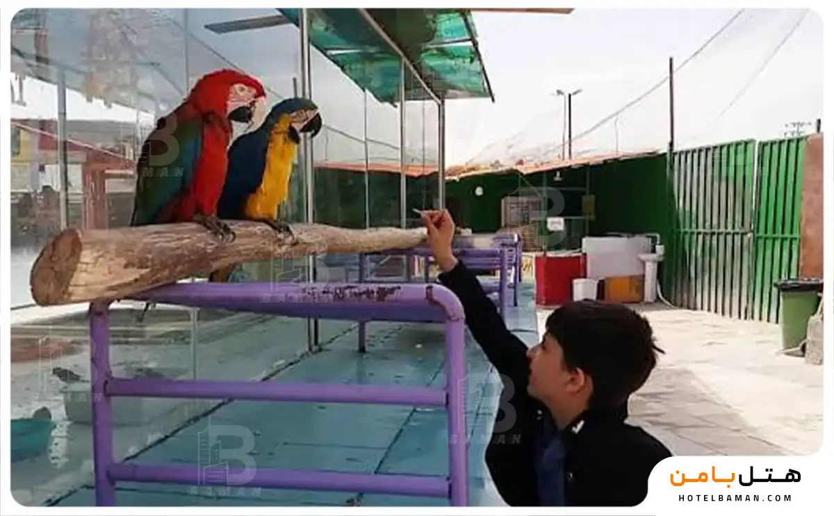 تصویر باغ پرندگان مشهد