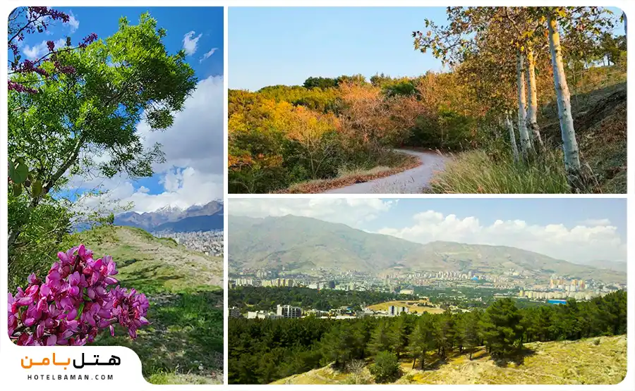تصویر پارک لویزان تهران