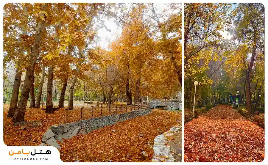 تصویر پارک وکیل آباد در پاییز