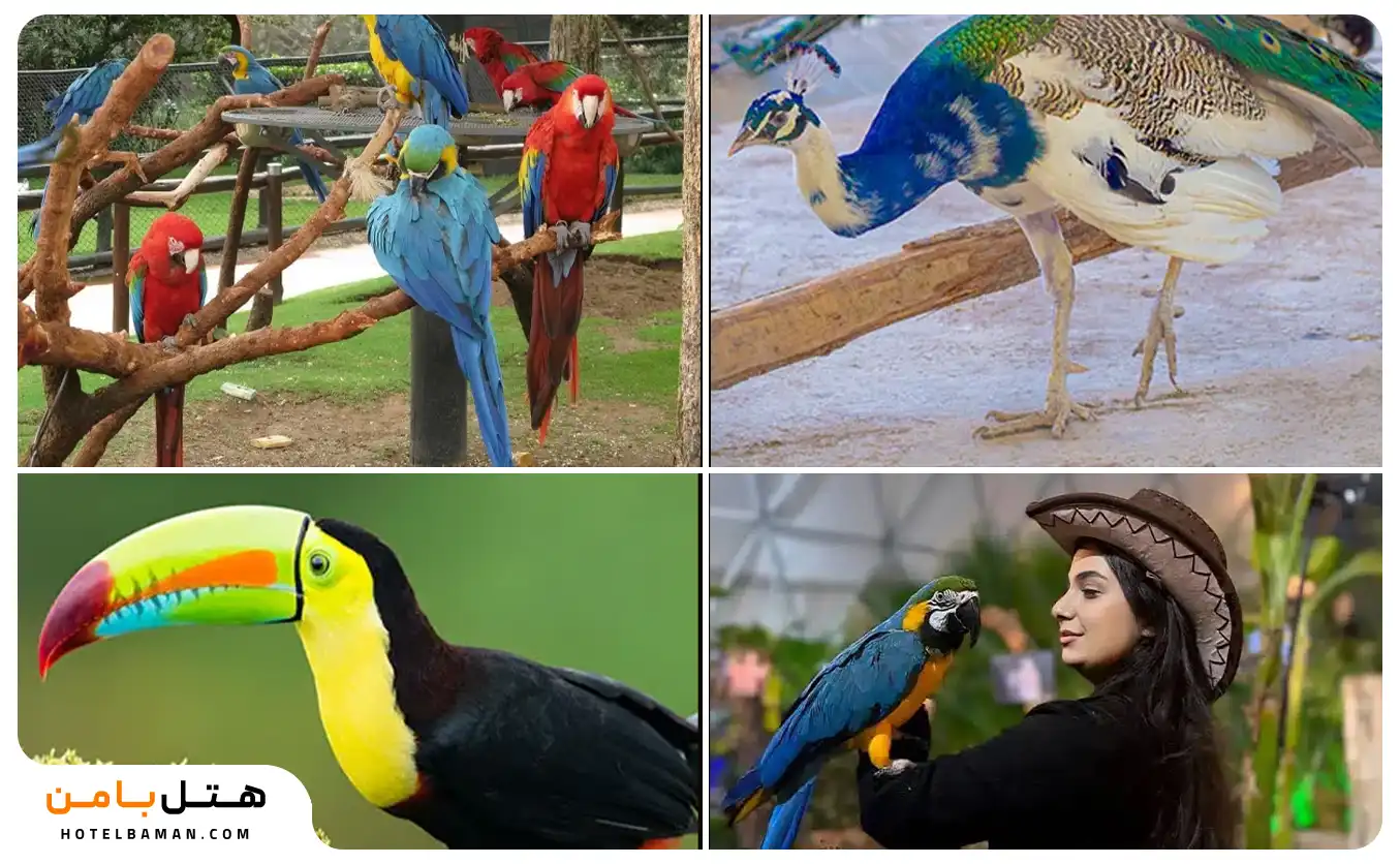 عکس شاخص باغ پرندگان مشهد