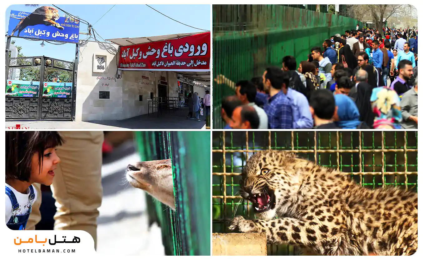 تصاویر باغ وحش وکیل آباد